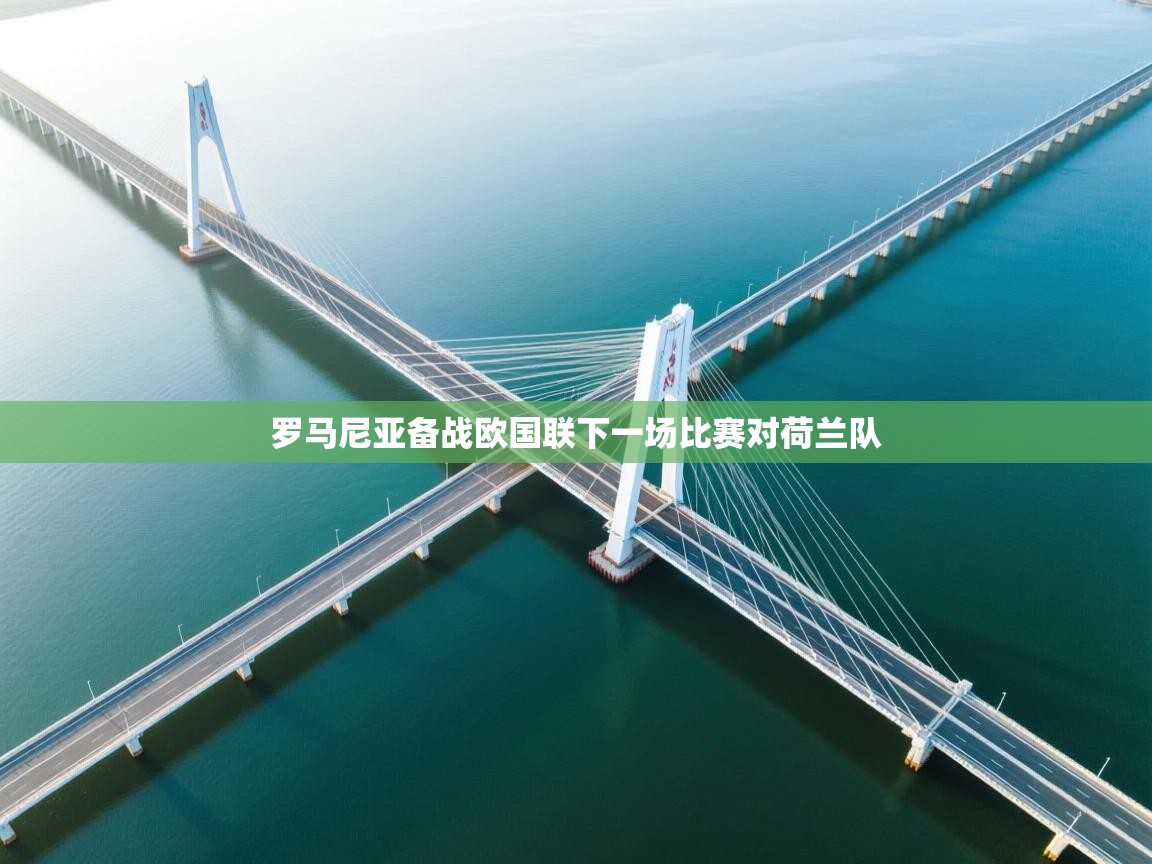 罗马尼亚备战欧国联下一场比赛对荷兰队  第1张