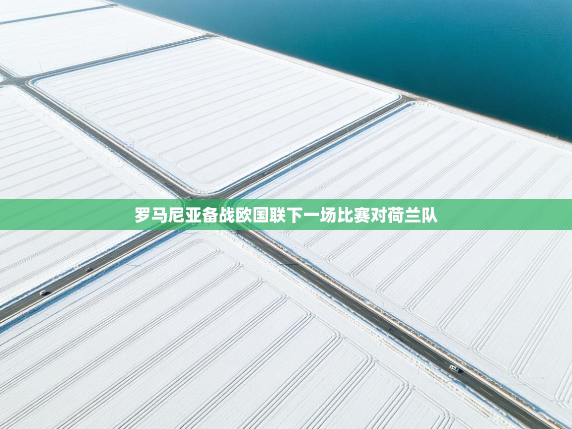 罗马尼亚备战欧国联下一场比赛对荷兰队  第2张