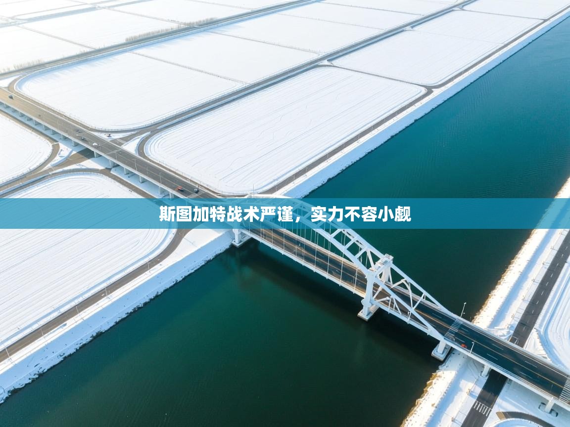 斯图加特战术严谨，实力不容小觑  第1张