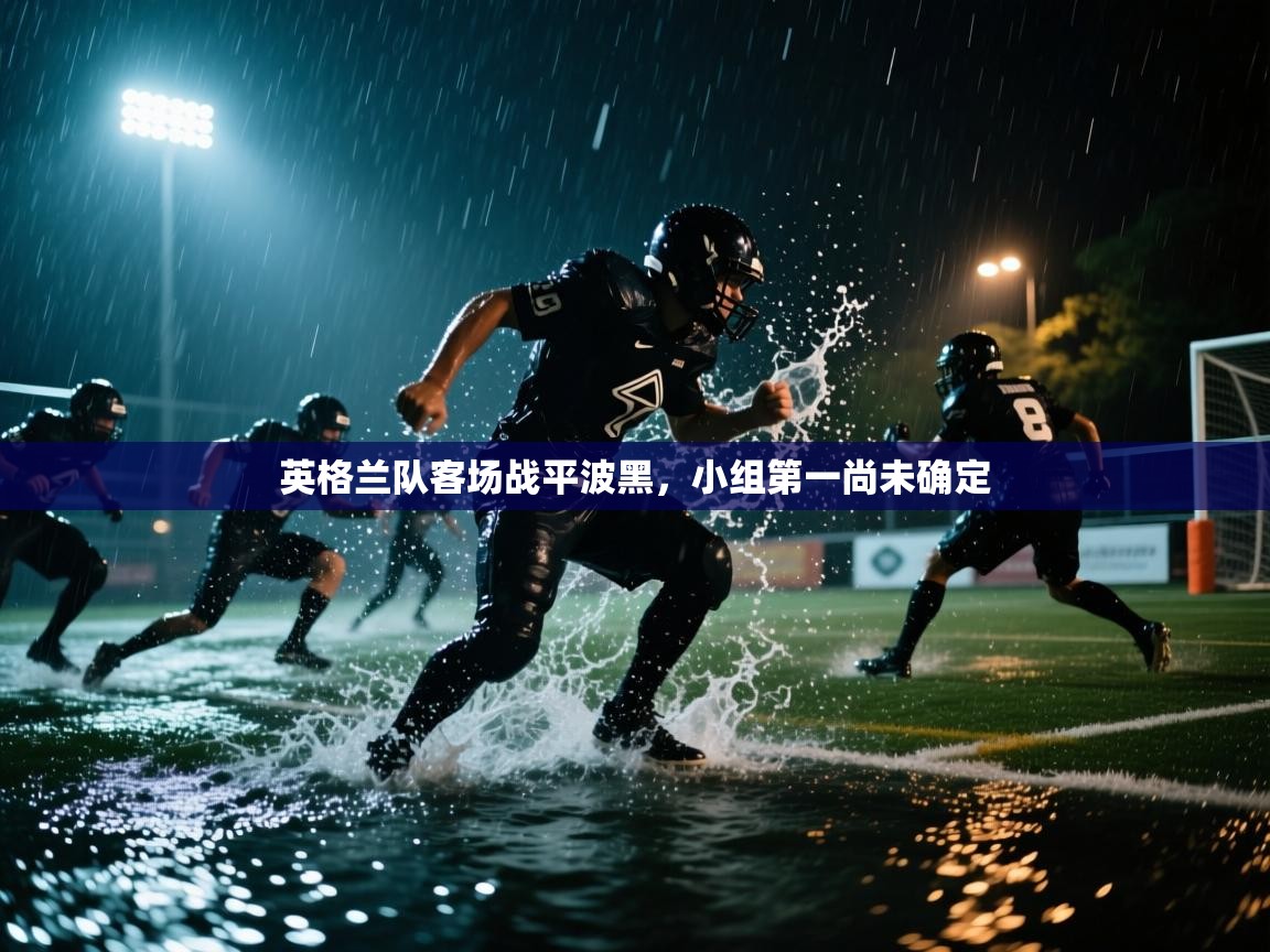 英格兰队客场战平波黑，小组第一尚未确定  第1张