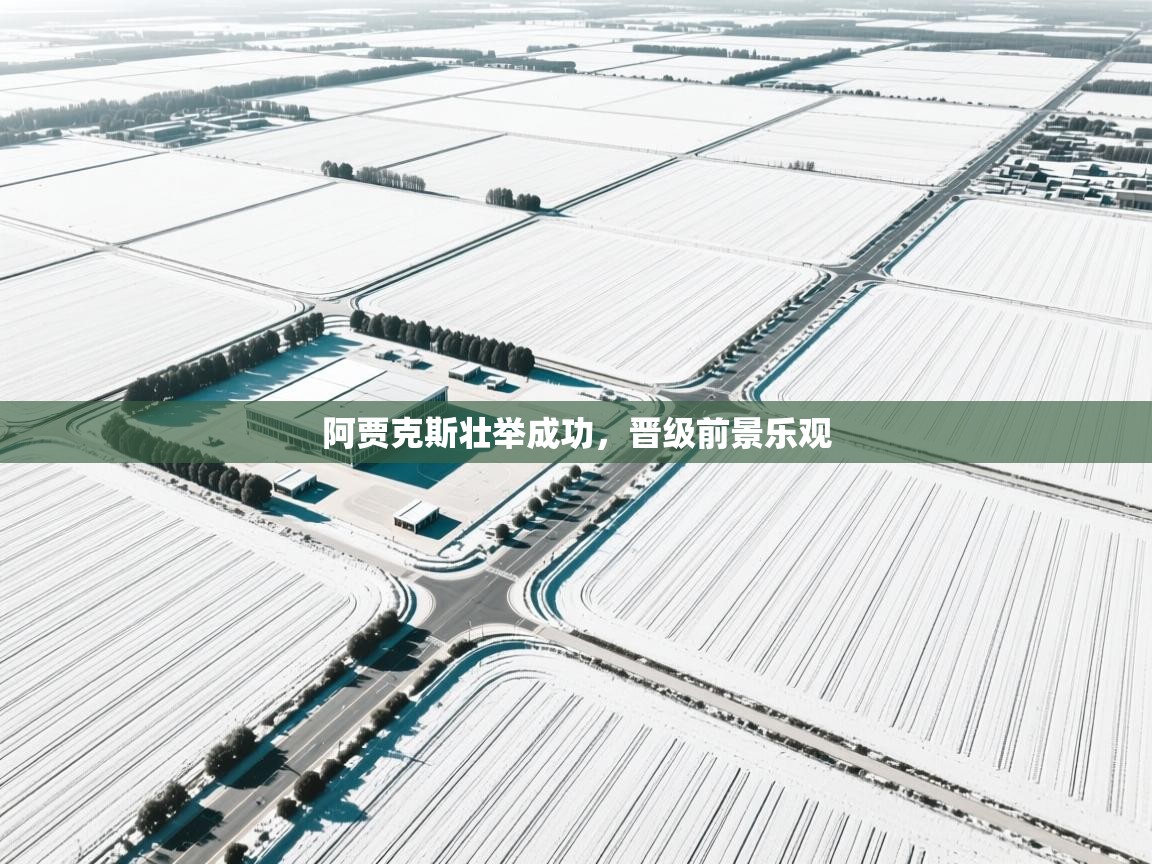 阿贾克斯壮举成功，晋级前景乐观  第1张