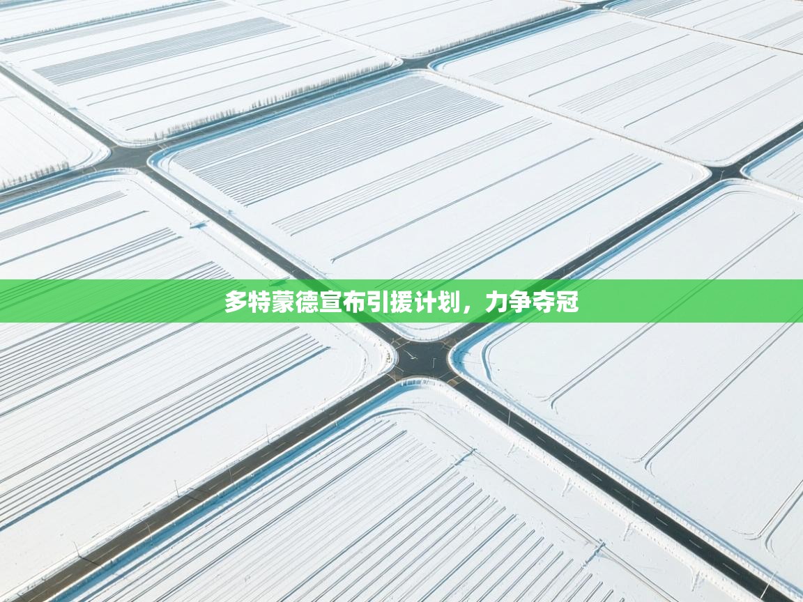 多特蒙德宣布引援计划，力争夺冠