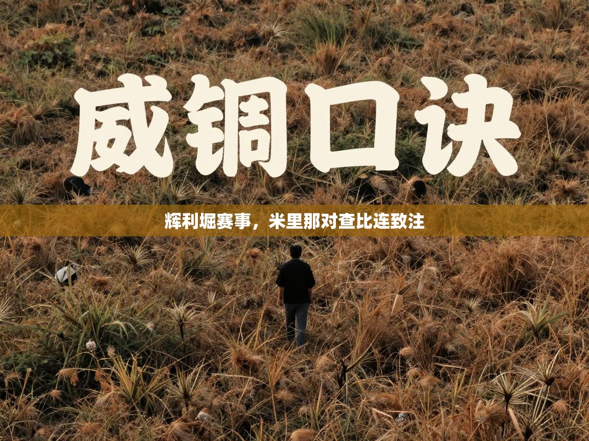 辉利堀赛事，米里那对查比连致注  第1张