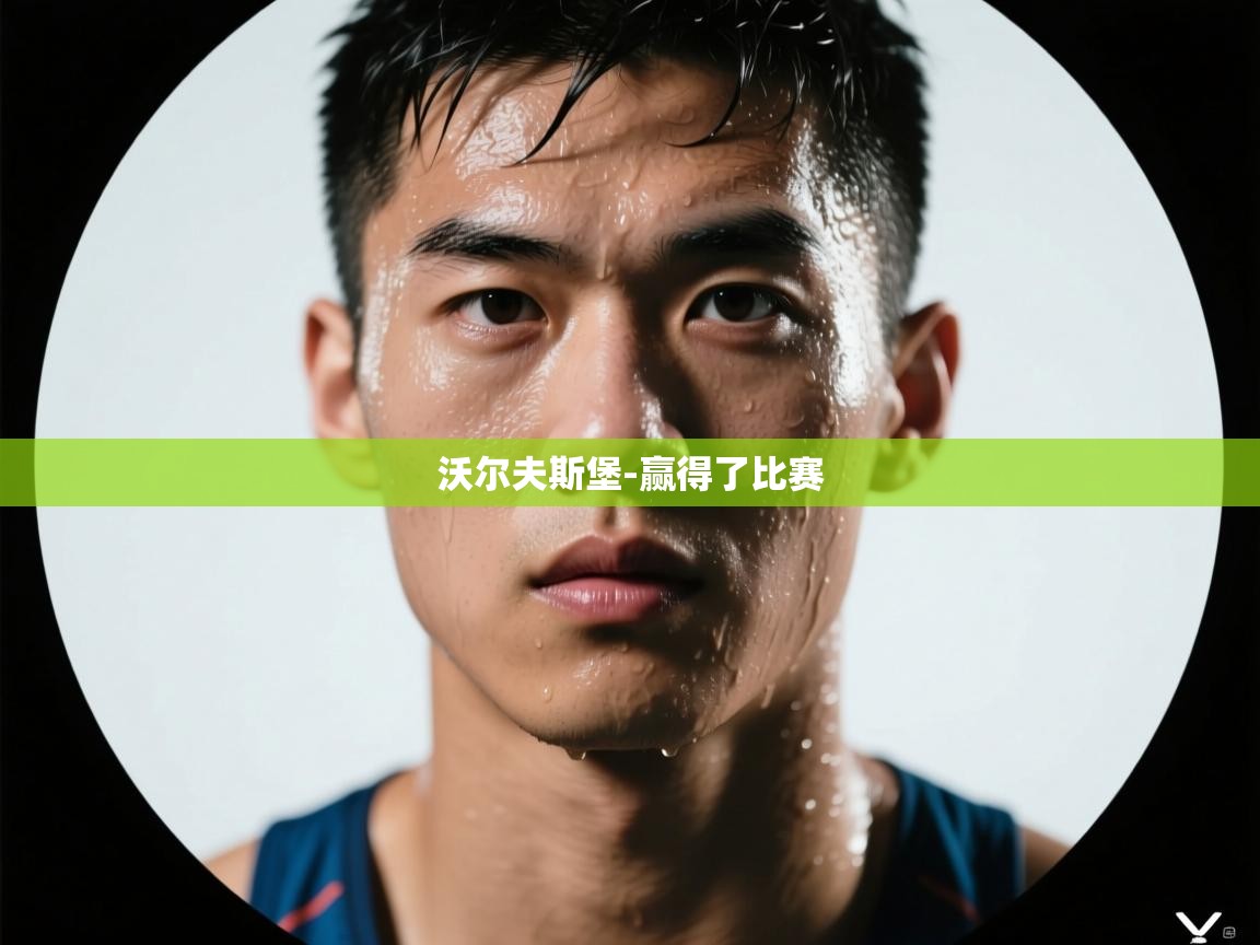 沃尔夫斯堡-赢得了比赛  第1张