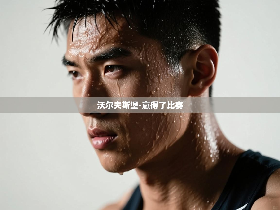 沃尔夫斯堡-赢得了比赛  第2张
