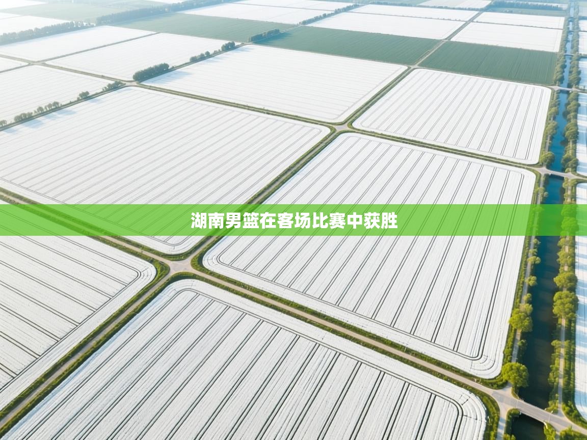 湖南男篮在客场比赛中获胜 第1张