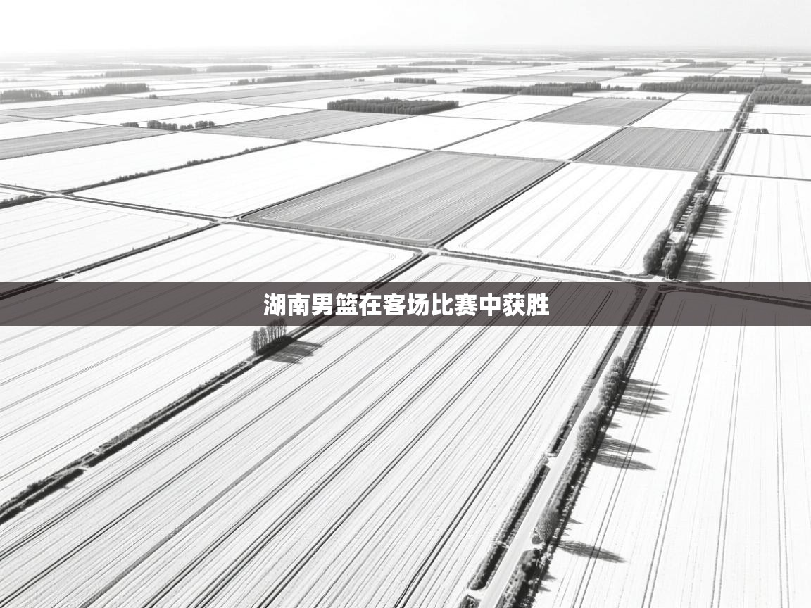 湖南男篮在客场比赛中获胜 第2张